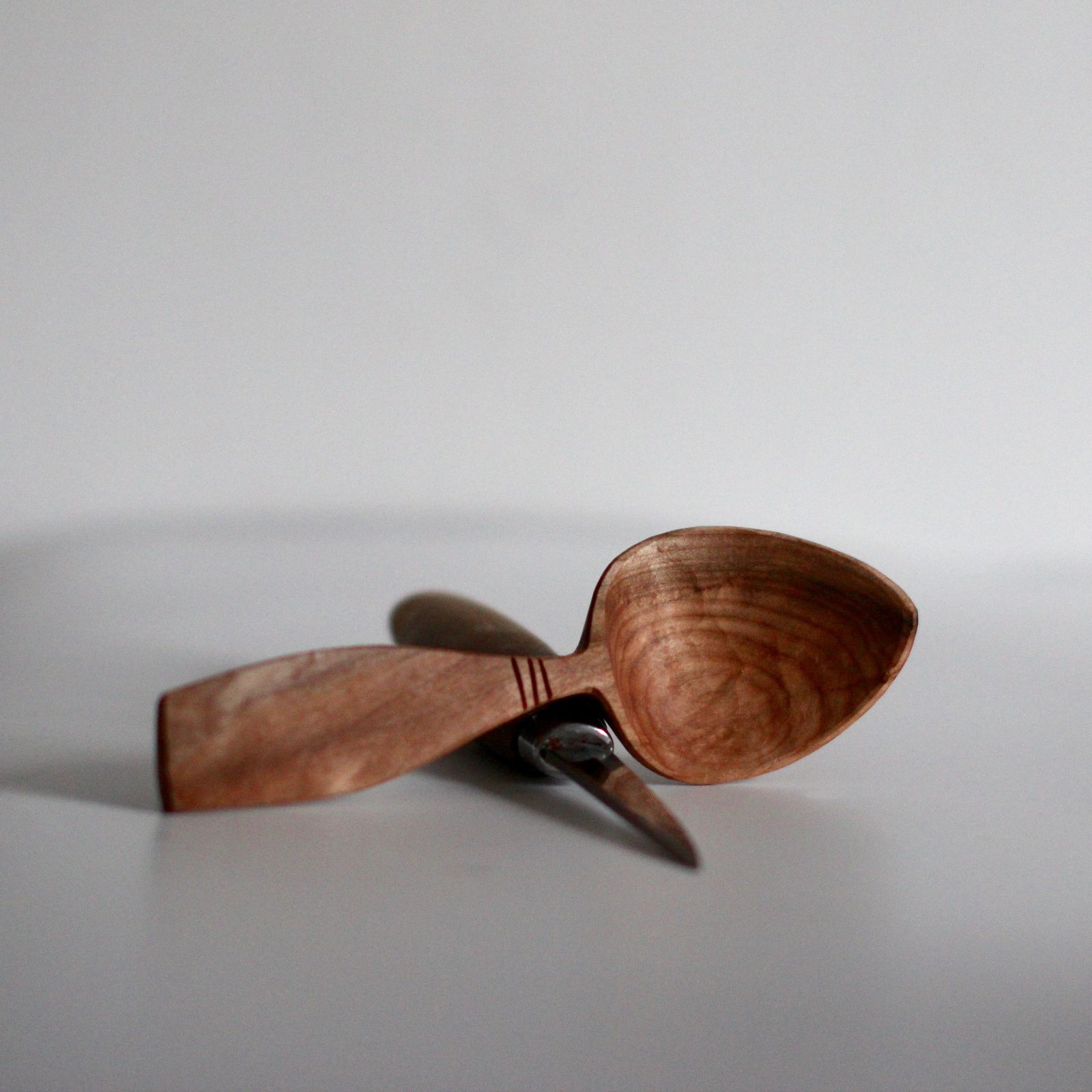 Eating Spoon Masterclass with JoJo Wood, photographed by Path Carvers