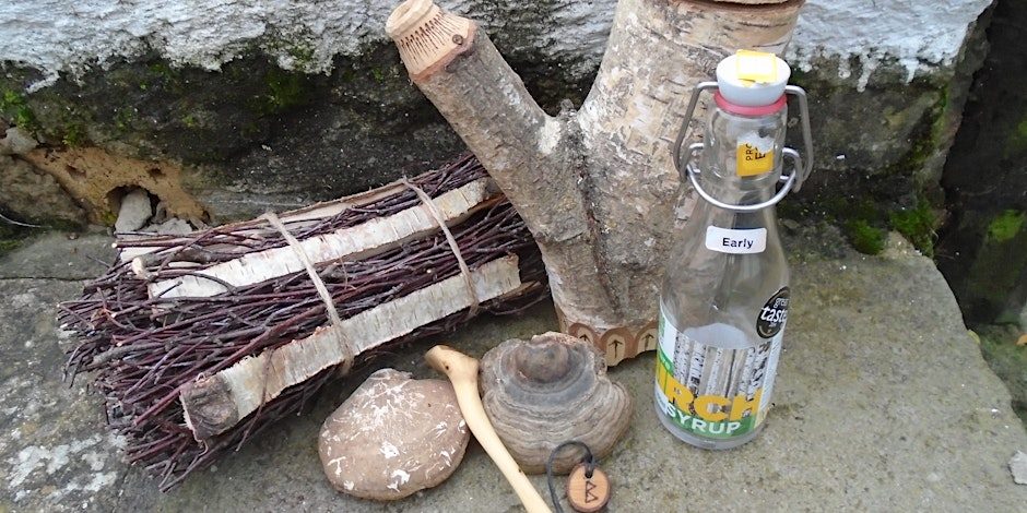 Workshop: Wild crafting with birch (BBC2806), photographed by Suffolk Wildlife Trust